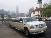 Cadillac Escalade de 18 pasajeros Exterior 2