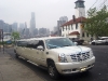 Cadillac Escalade de 18 pasajeros Exterior 